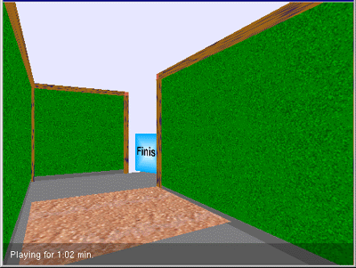 3D maze game