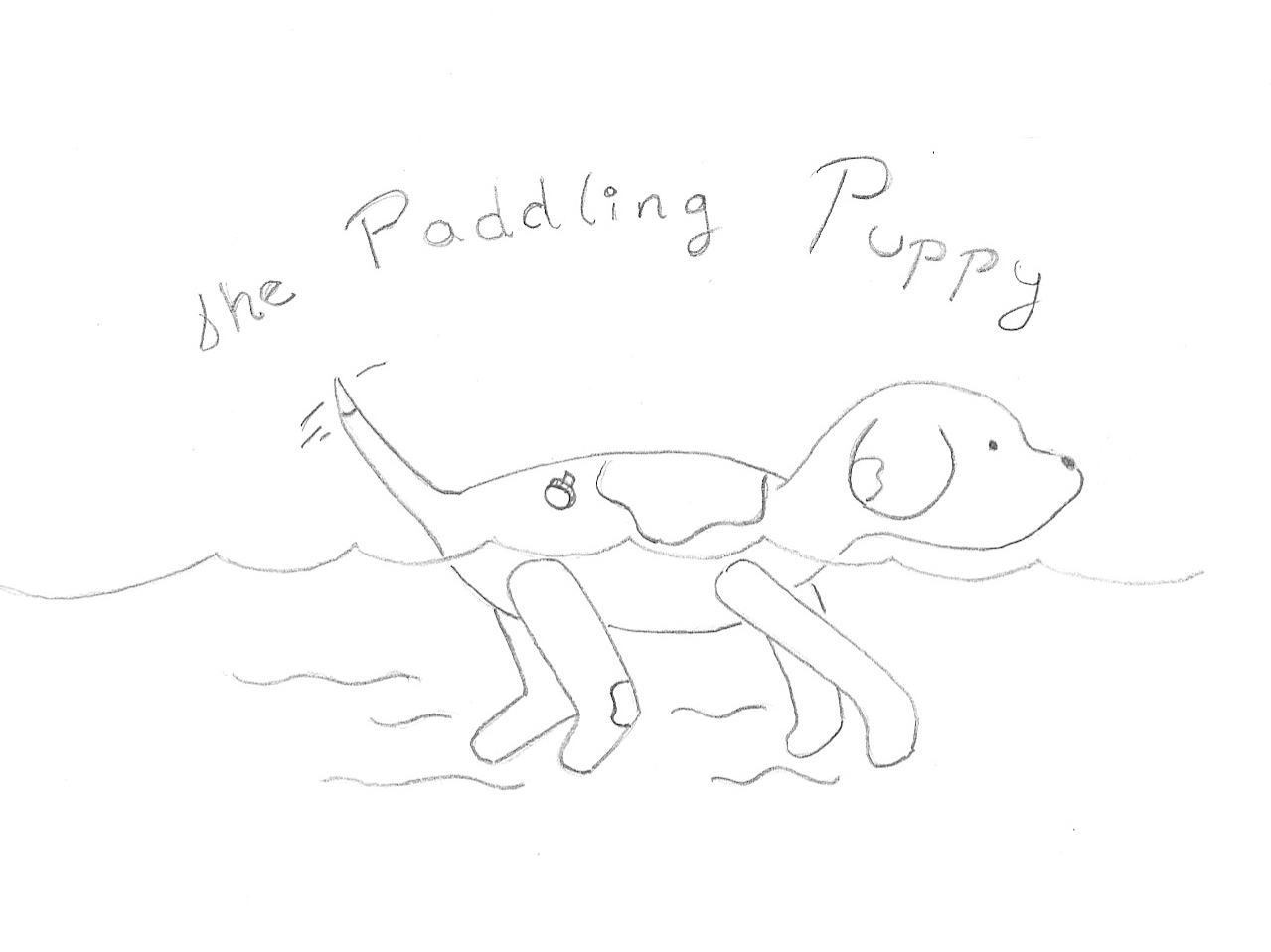 pic of puppy