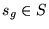 $s_g \in S$