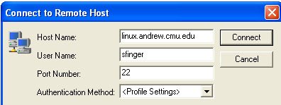 open connection in secure shell